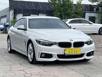 2017 BMW 4 Series 425i Gran Coupe Leading M Sport Package, фото 2, лот 10396852