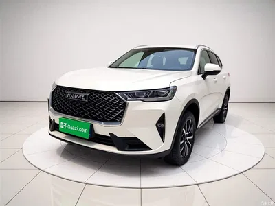 2021 Haval H6 3rd Gen 1.5T Auto 2WD Pro, фото 1, лот 10286927