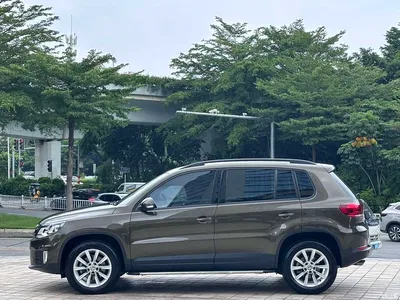 2016 Volkswagen Tiguan 280TSI Automatic 2WD Silk Road Fashion Edition, фото 3, лот 10394414