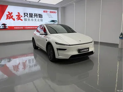 2026 Tesla Model Y Rear-Wheel Drive, фото 3, лот 10480924