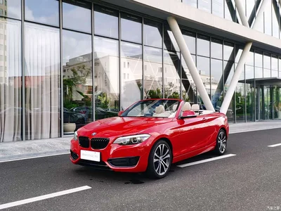 2019 BMW 2 Series (Import) 225i Convertible Coupe Sport Design Package, фото 1, лот 10422249