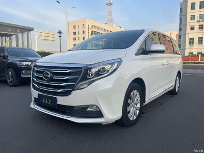 2018 GAC Trumpchi Trumpchi M8 320T Exclusive Edition, фото 1, лот 10416378