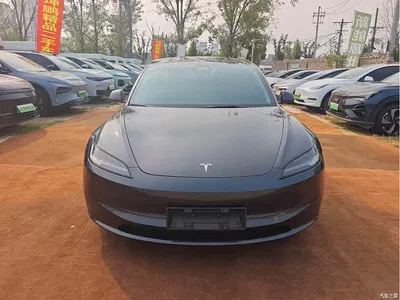 2023 Tesla Model 3 Rear-Wheel Drive, фото 2, лот 11133878