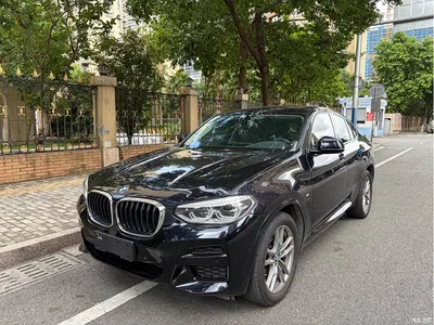 2021 BMW X4 Facelift xDrive 25i M Sport Shadow Package, фото 2, лот 10476804