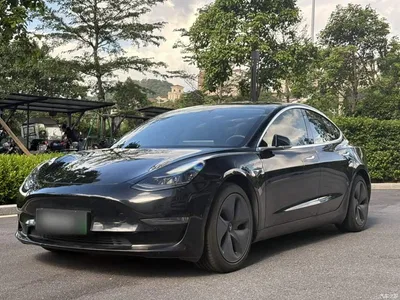 2020 Tesla Model 3 Facelift Long Range Rear-Wheel Drive, фото 1, лот 10369286