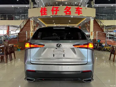 2018 Lexus NX Model 300 FWD Fengxing Edition, фото 4, лот 10315563