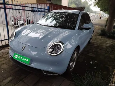 2023 Ora Good Cat 401km Standard Range Luxury LFP, фото 2, лот 10330743