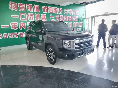 2024 Haval Big Dog 1.5T DCT Border Collie Edition, фото 2, лот 11450636