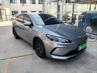 2025 BYD Hai Bao 05 DM-i DM-i Smart Drive Edition 55KM Luxury, фото 4, лот 10271933