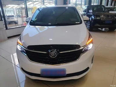 2021 Buick GL8 Land Business Class 652T Luxury Welfare Edition, фото 3, лот 10258524