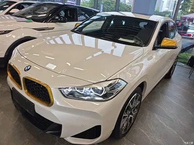 2023 BMW X2 sDrive 25i Radiance Edition, фото 1, лот 10334870