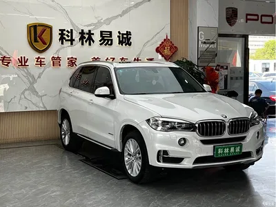 2017 BMW X5 (Import) xDrive28i, фото 3, лот 10424420