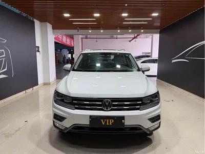 2019 Volkswagen Tiguan L 330TSI Automatic 2WD Smart Luxury Edition China VI, фото 2, лот 11520607