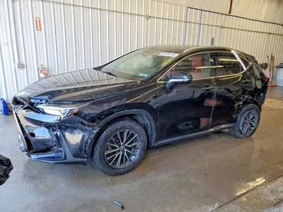 2023 LEXUS NX 350, фото 1, лот 10846396