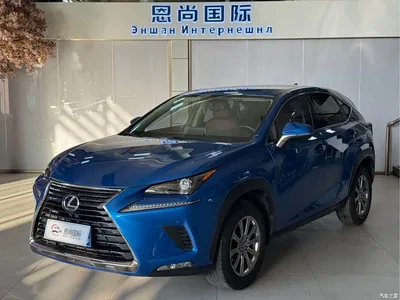 2020 Lexus NX 200 FWD Fengyi Edition China VI, фото 1, лот 11586353