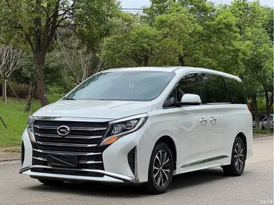 2023 GAC Trumpchi Trumpchi M8 Leading Series 390T Luxury Edition, фото 1, лот 10419044