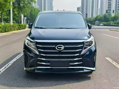2023 GAC Trumpchi Trumpchi M8 Leading Series 390T Prestige Edition, фото 2, лот 11194119