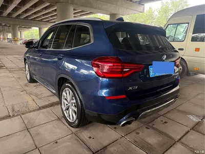 2020 BMW X3 xDrive25i Luxury Package, фото 4, лот 11178479