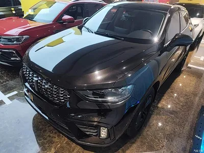 2020 WEY VV5 1.5T 2WD Style Pioneer, фото 2, лот 10387989