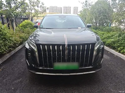 2024 Hongqi HS7 PHEV 2.0T PHEV 4WD Flagship Edition 6-seater, фото 3, лот 10289880