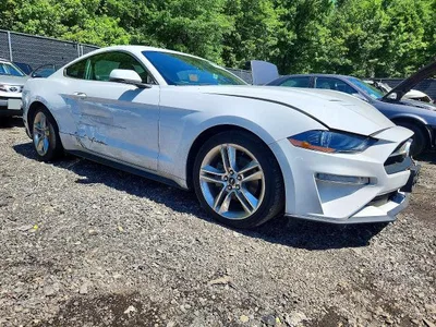 2019 FORD MUSTANG, фото 4, лот 10555811