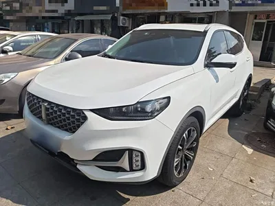 2021 WEY VV6 2.0T 2WD Smart Enjoyment+, фото 1, лот 10765035