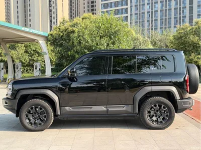 2023 Byd Leopard 5 Yun Nian Flagship Edition, фото 4, лот 10828740