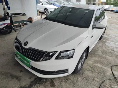 2019 Škoda Octavia 1.5L Automatic Smart Comfort Edition China V, фото 1, лот 11193229