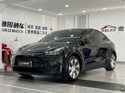 2022 Tesla Model Y Facelift Rear-Wheel Drive Version, фото 1, лот 10684416