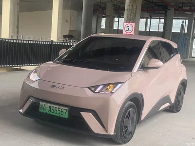 2024 BYD Seagull Glory Edition 305km Freedom Edition, фото 1, лот 10391371