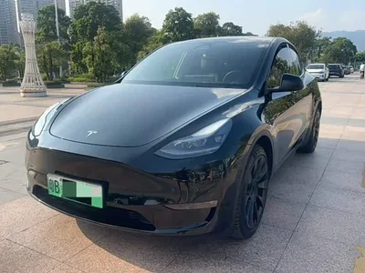 2021 Tesla Model Y Standard Range Rear-Wheel Drive, фото 1, лот 10693693
