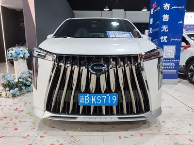 2023 GAC Trumpchi Trumpchi M8 Master Series Dual Hybrid Flagship Edition, фото 2, лот 10414834