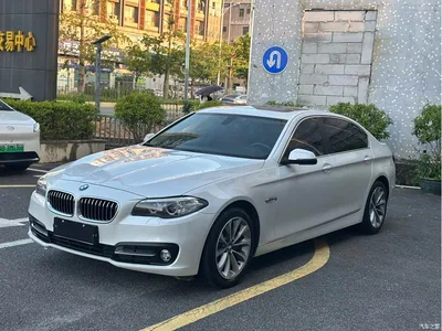 2014 BMW 5 Series 528Li Fashion Design Package, фото 1, лот 10632685
