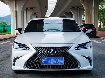 2020 Lexus ES Model 300h Excellence Edition China V, фото 1, лот 10313080