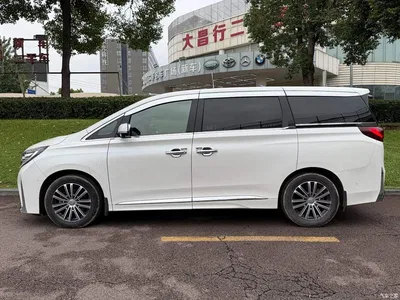 2021 GAC Trumpchi Trumpchi M8 Leading Series 390T Flagship, фото 3, лот 11189891