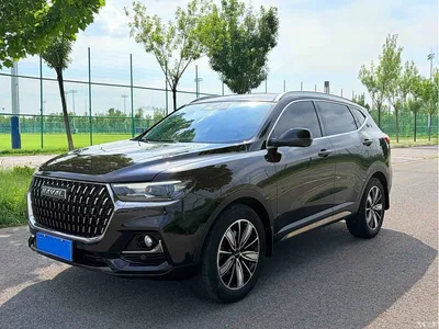 2023 Haval H6 National Trend Edition 1.5T Automatic Champion, фото 1, лот 10281823