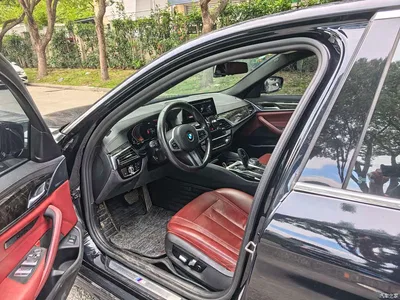 2020 BMW 5 Series 530Li Leading M Sport Package, фото 4, лот 10474608