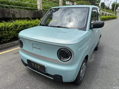 2023 Geely Galaxy Panda Mini 200km Endurance Bear, фото 1, лот 10432315