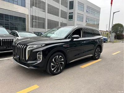 2024 Hongqi HS7 PHEV 2.0T PHEV 4WD Flagship Edition 6-seater, фото 1, лот 10288051