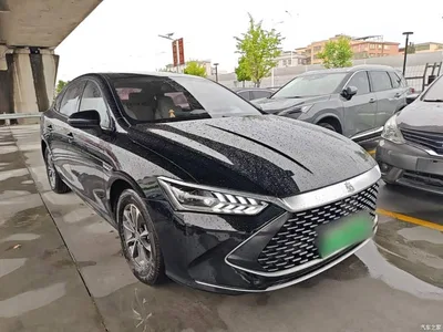 2023 BYD Qin PLUS Champion Edition DM-i 55KM Leading, фото 4, лот 11397060
