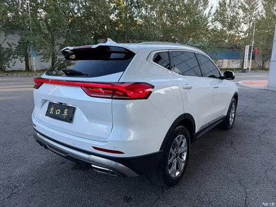 2021 Haval H6 Model 1.5T Automatic Champion Edition, фото 4, лот 11212512