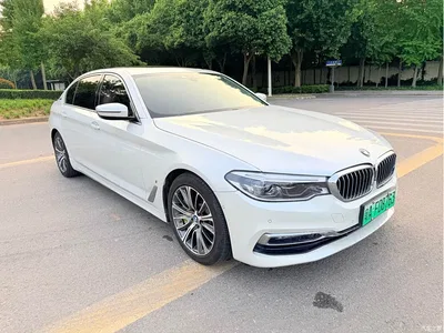 2019 BMW 5 Series New Energy 530Le Luxury Package, фото 3, лот 10474371