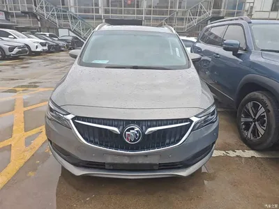 2019 Buick GL6 18T 6-seat Elite China VI, фото 3, лот 10269493