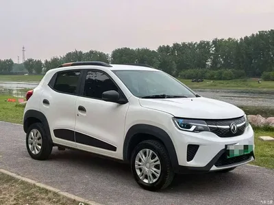 2023 Dongfeng Yipai Dongfeng Nano EX1 PRO Light Breeze Lightning, фото 3, лот 10412093
