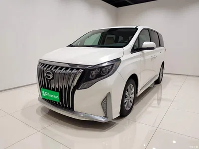 2020 GAC Trumpchi Trumpchi M8 Pilot 390T Premium Edition, фото 1, лот 10828448