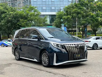 2021 GAC Trumpchi Trumpchi M8 Leading Show Series 390T Ultimate Edition, фото 3, лот 10417591
