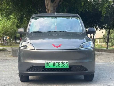2024 Wuling Motors Wuling Hongguang New Energy Pure Electric 300KM Standard, фото 2, лот 11148422