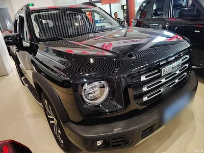 2022 Haval Big Dog 1.5T DCT FWD Malinois Edition, фото 4, лот 10662005