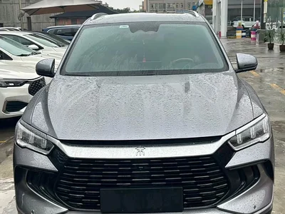 2024 BYD Song Pro New Energy Glory Edition DM-i 110KM Surpassing, фото 2, лот 11135920