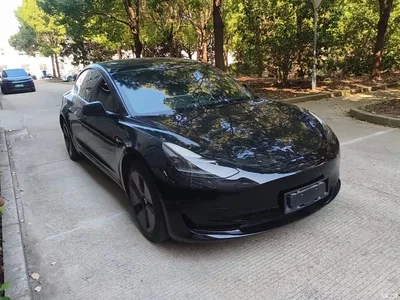 2021 Tesla Model 3 Standard Range Rear-Wheel Drive Upgrade 3D6, фото 4, лот 11582806